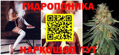 PSILOCYBIN Бугуруслан
